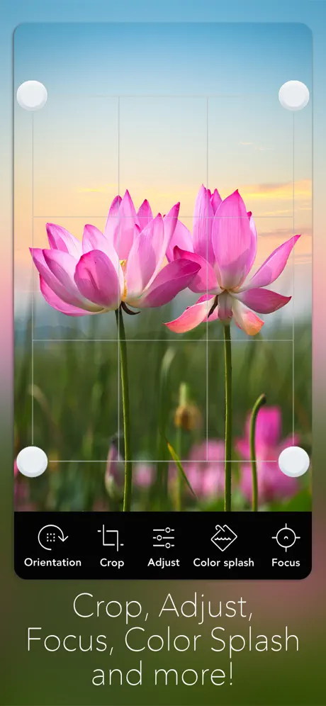 Photo Editor+ screenshot two